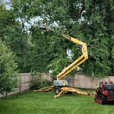 Macungie, PA Tree Removal and Landscaping Services Company